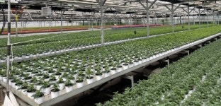 고양시, 생산·유통·소비까지… 화훼산업 ‘꽃’ 피운다