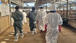 경주시, 신규  21개 천년한우 농장 HACCP 인증 획득