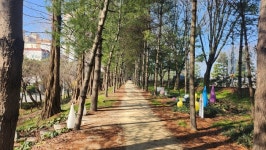 함안군, 아라숲길 내 맨발길 조성 추진