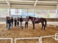 함안군승마공원, 학생승마체험 지원사업 실시