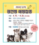 부천시, 반려견·반려묘 춘계 광견병 예방 접종...  15일 ~26일 관내 동물병원 70곳서 실시