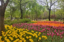 “서울숲에서 봄나들이 즐기세요”