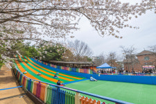 벚꽃엔딩 아쉽다면... 렛츠런파크 부산경남으로