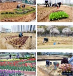 도시농부의 사랑 품은 싱그러운 모종…“무럭무럭 자라다오”