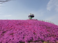 거창군, 주민들과 함께 만들어 가는 거창창포원 봄맞이 정원