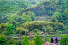 남해군,  바래길 4월 작은소풍‘성료’