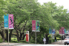 인제대학교, 가로등 배너에서 빛나는 학생들의 이야기