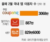 직진출한 알리, 직구만 하는 테무...같지만 다른 C-커머스