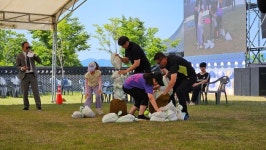 영천시,  ‘제22회 영천한약축제’ 5만여명 찾은 가운데 성료