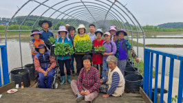 홍성군, 결성면 원천마을 ‘조롱박 축제’ 준비 박차