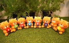 호랑이 기운 듬뿍! 국립백두대간수목원, 추석맞이 ‘백두랑이’ 신제품 3종 개시