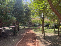 통영시 북신해변공원 황토길에서 힐링하세요