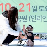“댕댕이들 다 모여라”…성동구 ‘놀다가개’ 축제 열린다