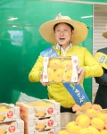 성주 참외 조수입 ‘6천억 시대’ 안정적 정착으로 정착