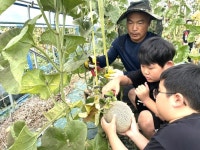 봉화 도촌초등학교, 교육공동체 멜론 농장 체험학습 실시!
