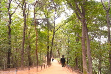 울긋불긋 색감 품은 수원시..도시숲에서 가을 만끽하세요