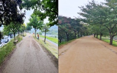 대구 동구, 금호강변 제방 마사길 전 구간 조성 완료