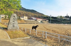 대구공공시설관리공단, 대덕승마장 체험승마 프로그램 확대 운영