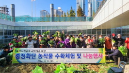 부산시설공단, 시민공원 텃밭서 취약계층 대상 배추·무 수확 나눔 행사