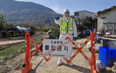 대구 동구 한우농장서 올해 21번째 럼피스킨 발생