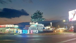 고령군, 연말연시 밤거리 밝힐 경관조명 점등