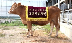 경북도, 농업대전환 성과…정부 평가로 증명