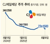 K-푸드 열풍에도 웃지 못하는 CJ제일제당