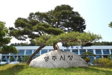 영주시, ‘2025경북영주 풍기인삼축제’ 준비상황보고회 개최
