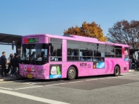 [Tour ＆] ‘하늘숲길’로 더 가까워진 남산