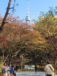 [Tour ＆] ‘하늘숲길’로 더 가까워진 남산