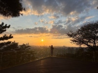 남산 하늘숲길 단번에 서울도심 명소됐다
