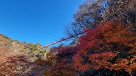 [Mountain ＆] 가을에 지고 피는 ‘단풍’ 산행