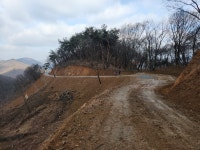 용인시, 반도체 클러스터 진입로 ‘보개원삼로’ 임시 개통...이 시장 반도체클러스터 성공 조성 뒷받침할 것”
