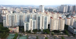 [경북 브리핑 모음(6월 2일)]  멸종위기Ⅱ급 왕은점표범나비, 자연으로 날아오르다.   등