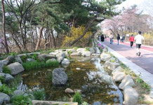 남산의 실개천 즐거운 산책길