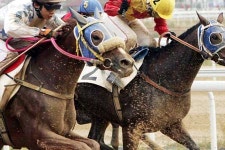 장구를 보면 우승마가 보인다