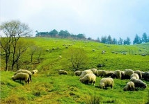 [여행 단신] 서울~여수 해랑 열차 탑승자 모집 外