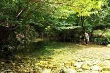 금산, 무더위의 끝자락에 가족끼리 오붓한 쉼표