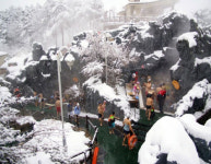 여보, 쌓인 피로는 온천서 풀까