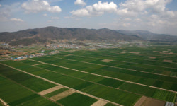 봄길 따라… 한국관광공사 추천 4월 가볼만한 곳