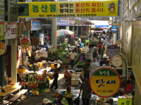 수만 가지 매력에 정 듬뿍