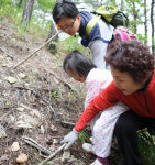 푸른숲서 송이 캘까… 황금들판서 춤 출까