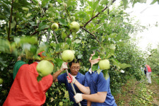 포항축협축산물직판장산림조합점 | 산림청, 태풍 피해농가 돕기