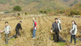 농촌과 함께 하는 에너지사랑봉사