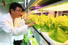 첨단 스마트 식물농장 뜬다