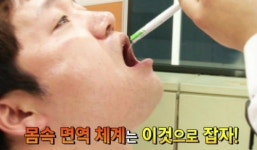 SBS생활경제, 생균 아닌 사균 유산균 nF1 소개