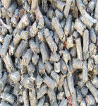 수도권에서 폐기물연료 못쓴다...환경부 고형연료 관리 기준 대폭 강화