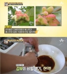 서민갑부 장어, 연매출 100억 원 일등 공신은 오배자