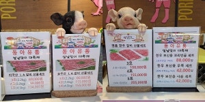 군산정육점 동아유통 지곡점, 점심식사 쿠폰 기부 이어 설날맞이 대축제 할인 이벤트