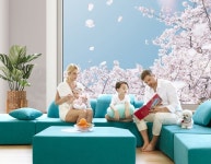 친피부·친인체·친환경 소파&침대 전문브랜드 헷세드(.HASSED), 롯데백화점 상인점 오픈